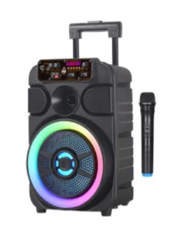ZVUČNIK BSK-510 ( DM, USB , TF , BLUETOOTH) KARAOKE , WIRELESS
